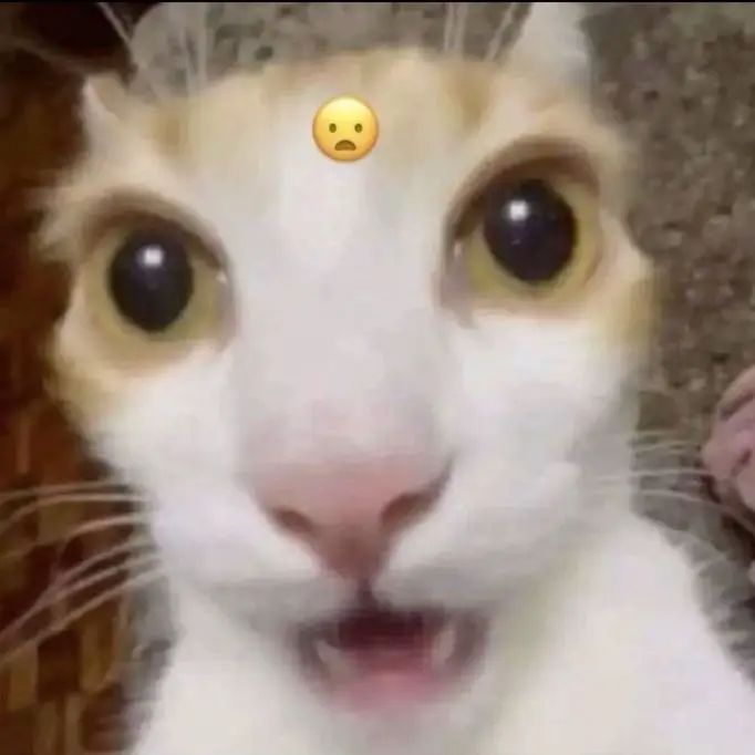 nejdziorr