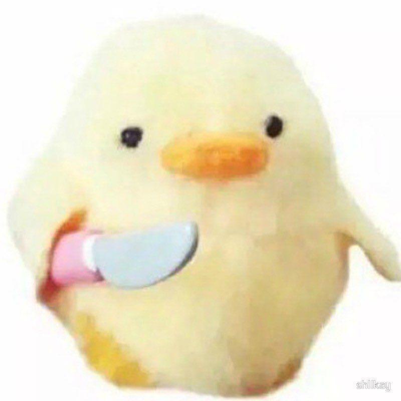 zorry_ avatar