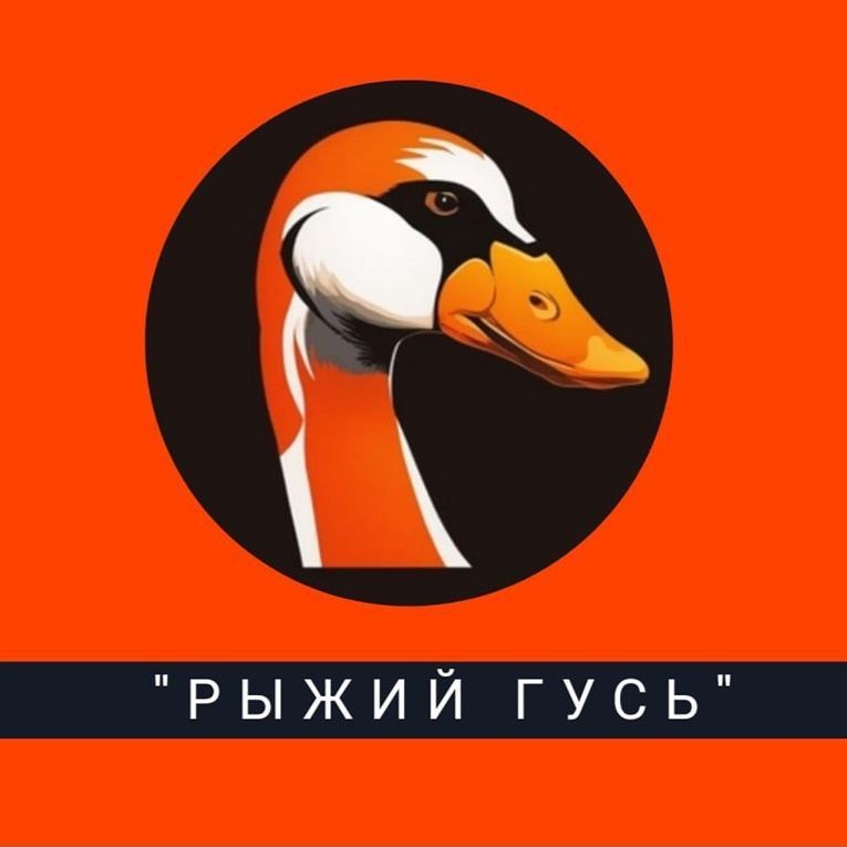 andreysff FACEIT avatar