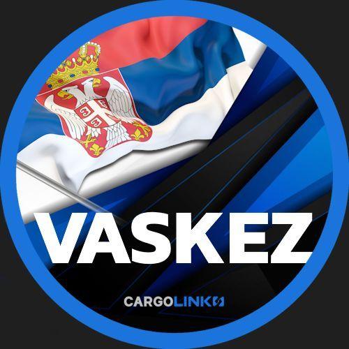 Vaskez523 avatar