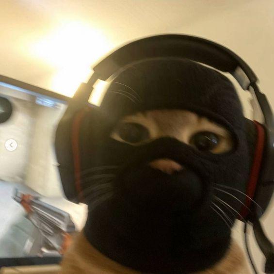Bodkaaa avatar