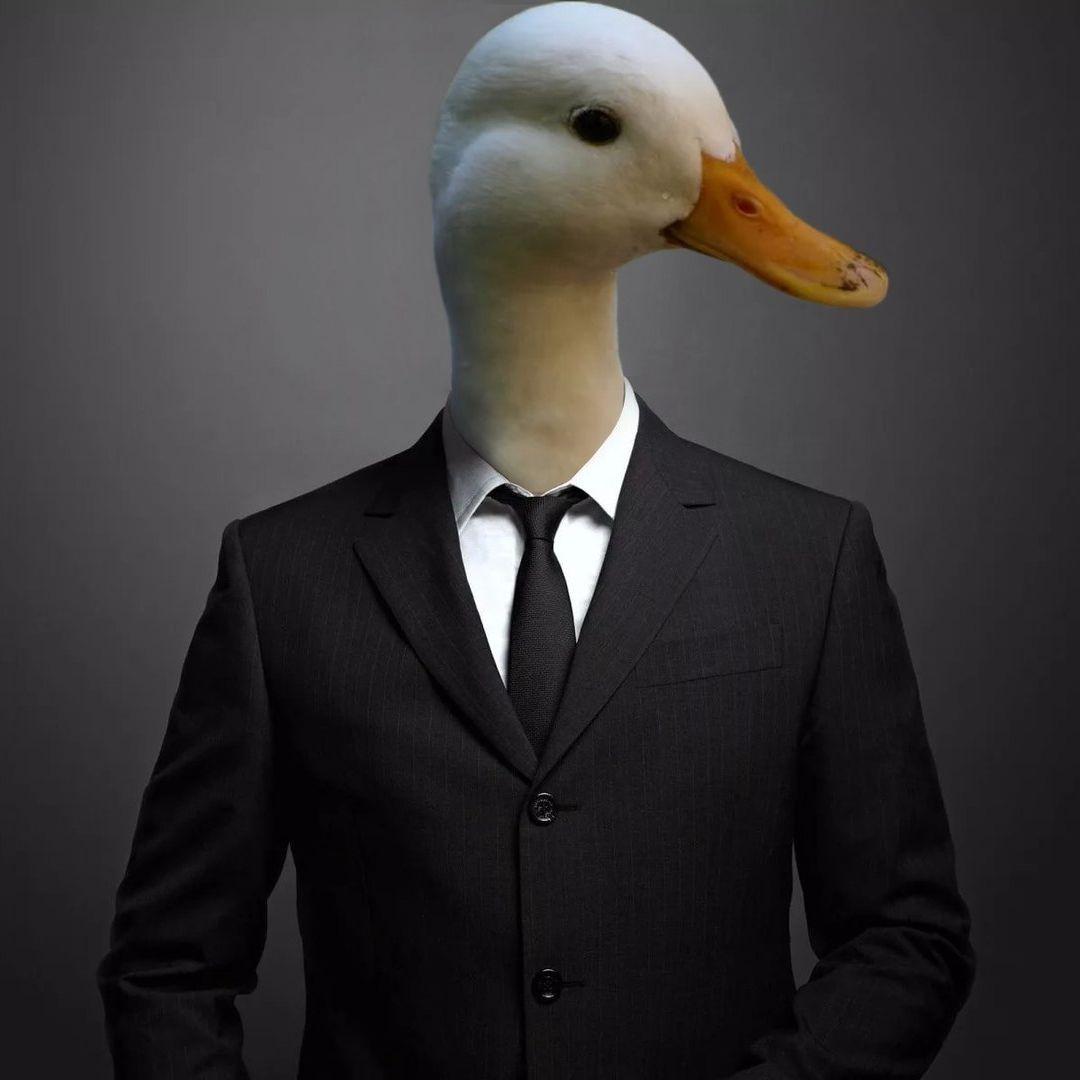 Devil_Duck_ avatar