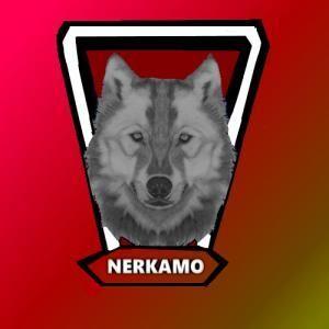 Player Nerkamo avatar