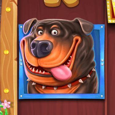 xan4spam avatar