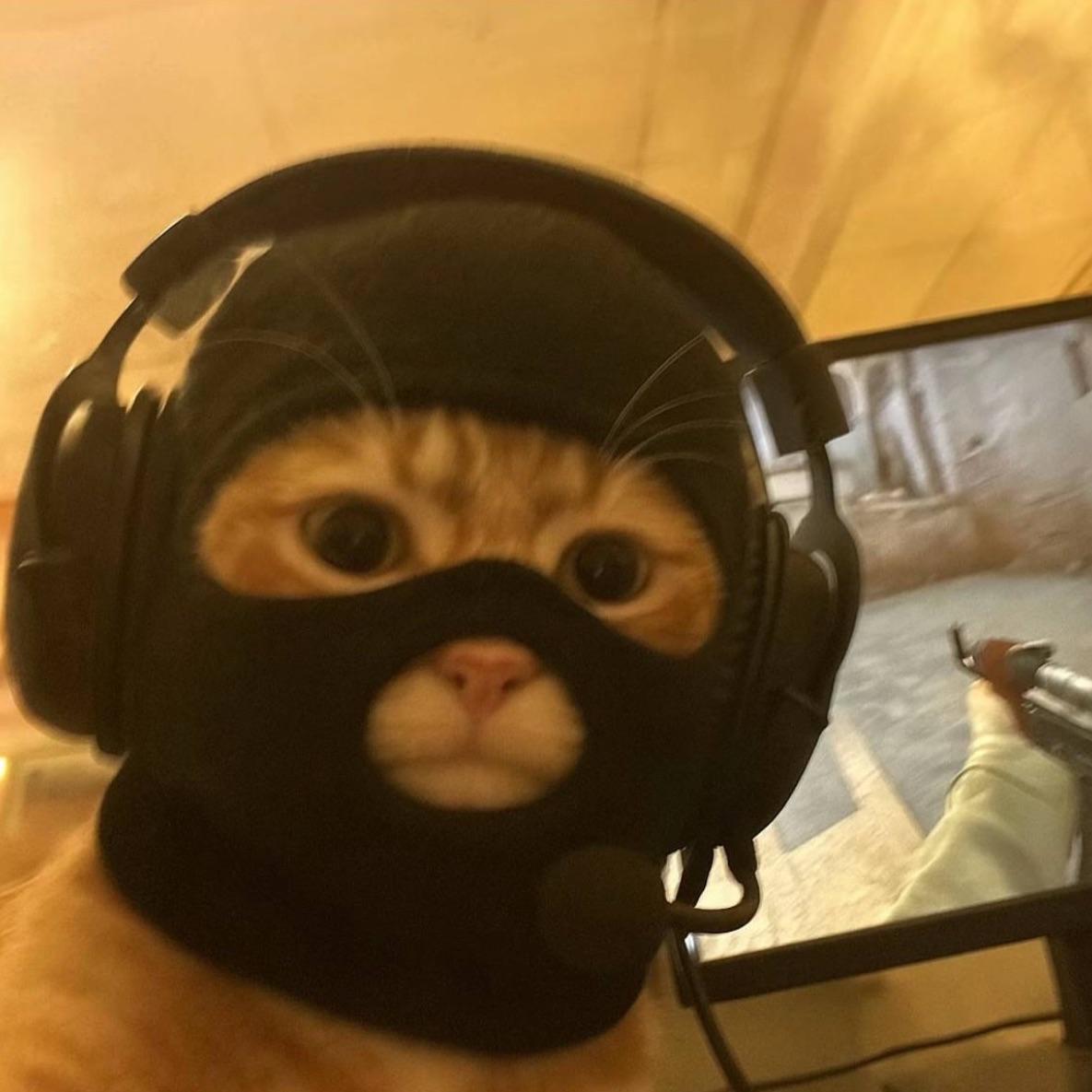 -heX_ avatar
