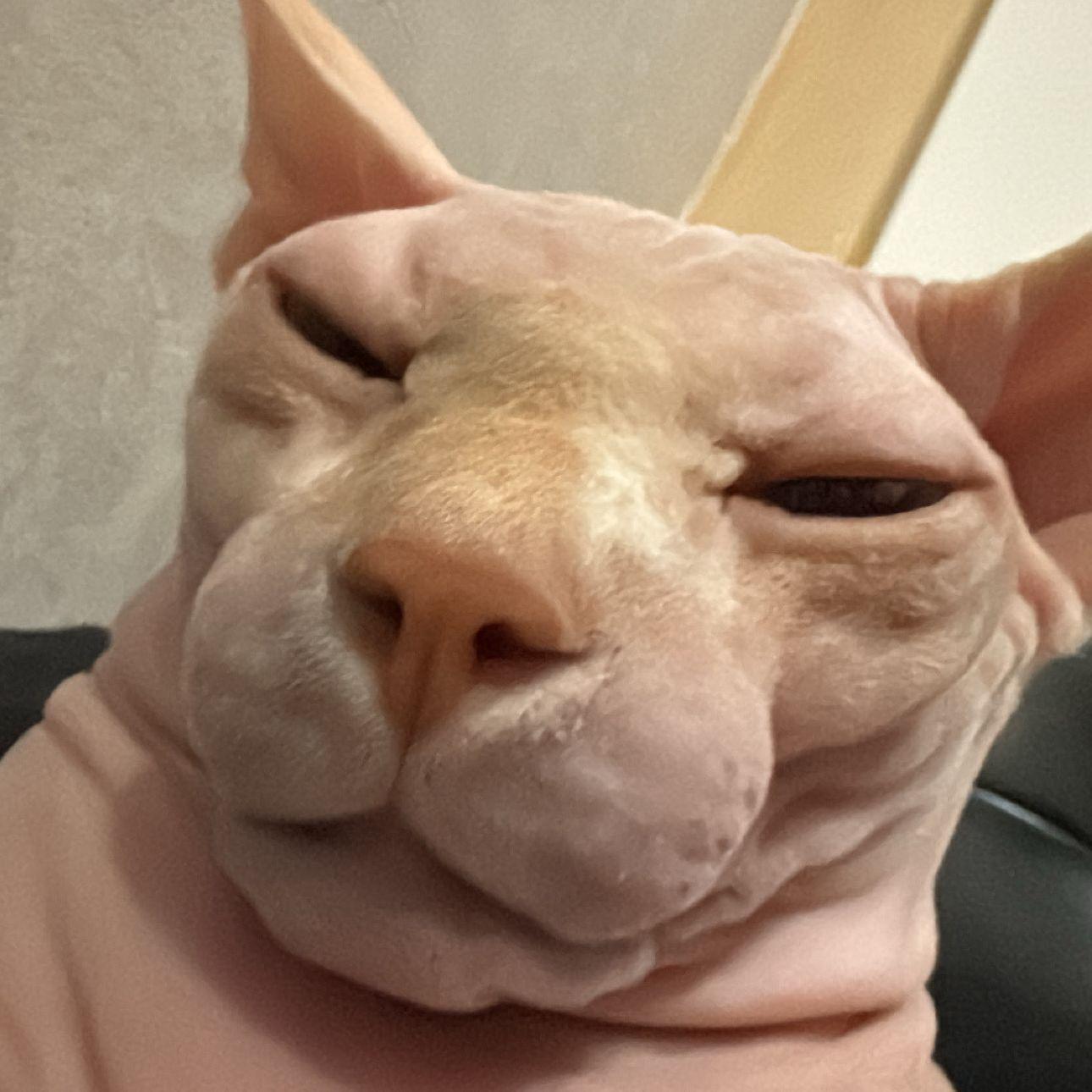Auzanarak