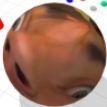 j0p4gl0t4s avatar