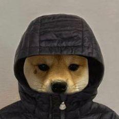 Jinsa