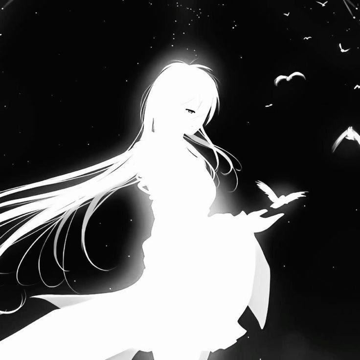syava228pro avatar