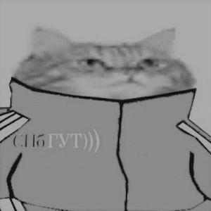 KlikSpid avatar