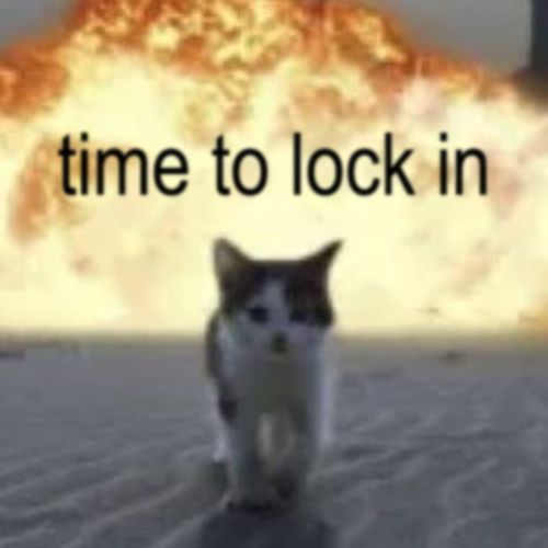Bobik_Prime