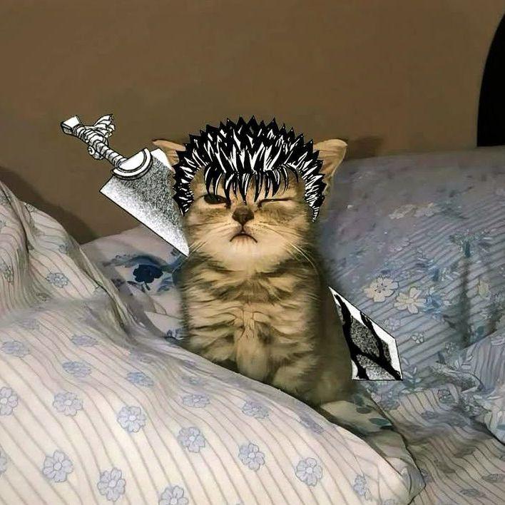 v_o_n_ avatar