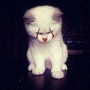 hat1kaa_a avatar
