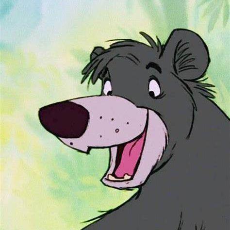 baloo55 avatar