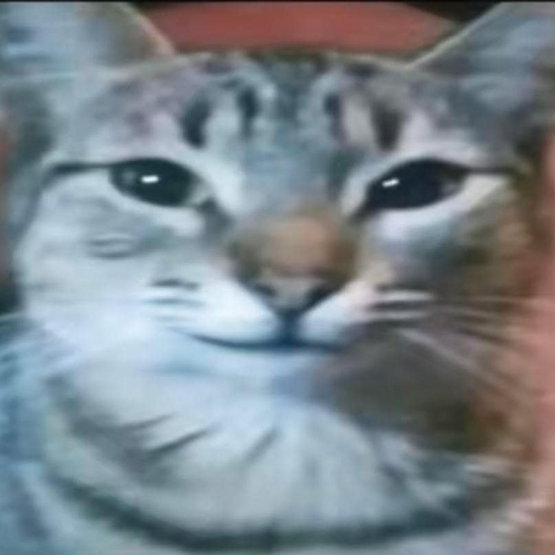 Faceit Avatar