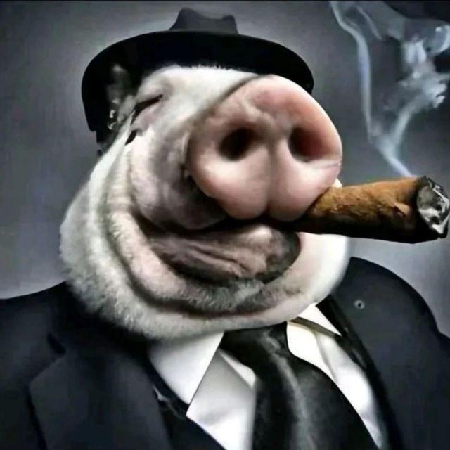 -lybnyanski avatar