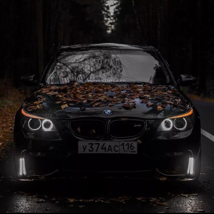 _m5e60 avatar