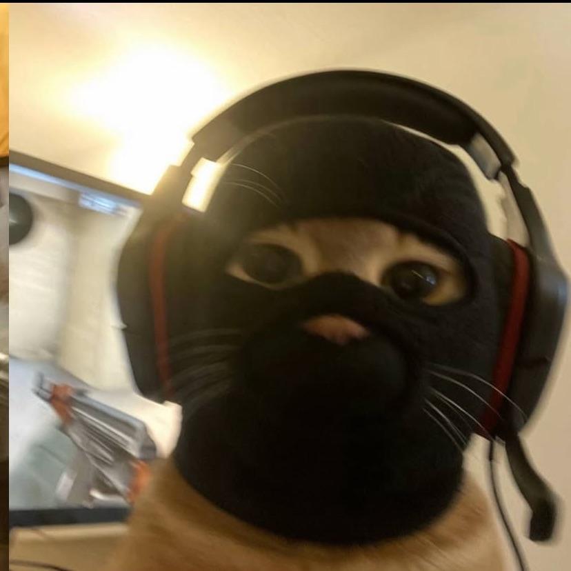 Pit0n_ avatar