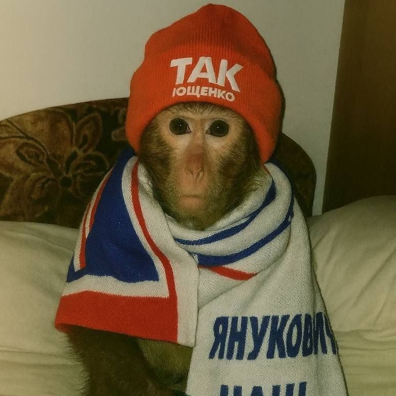 Krymmi