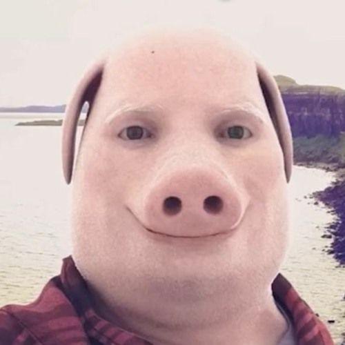 Pork Bellies