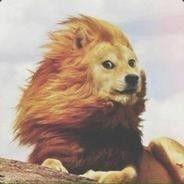 imbaZV avatar