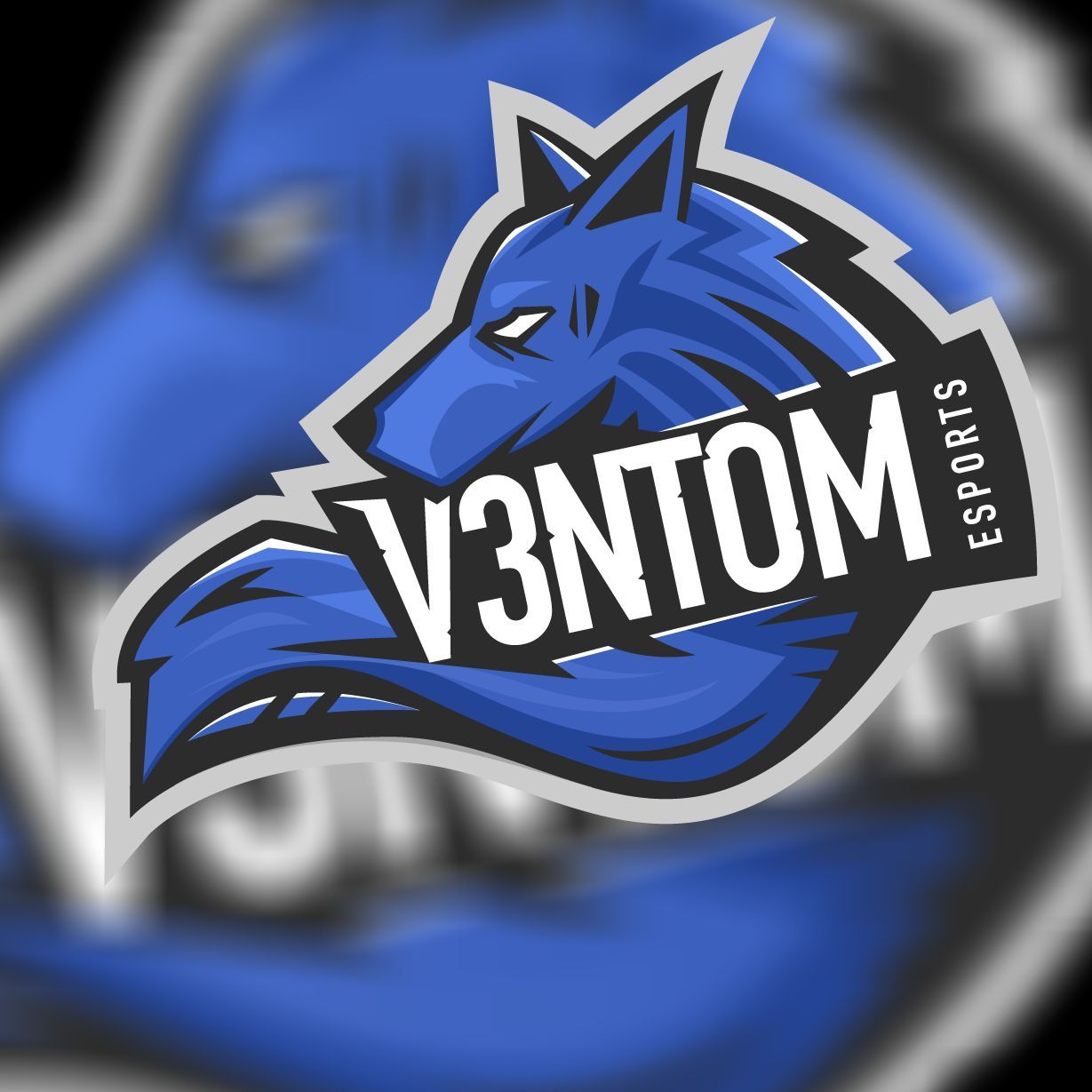V3NTOM Werk
