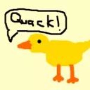 quackk522