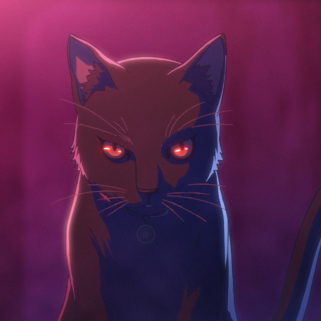 Aku9mo avatar