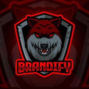 Player Brandify avatar