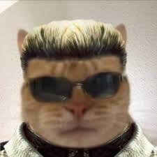 Swistak666 avatar
