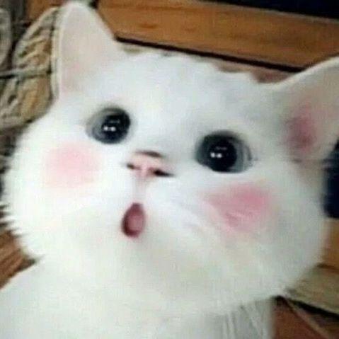 derfina