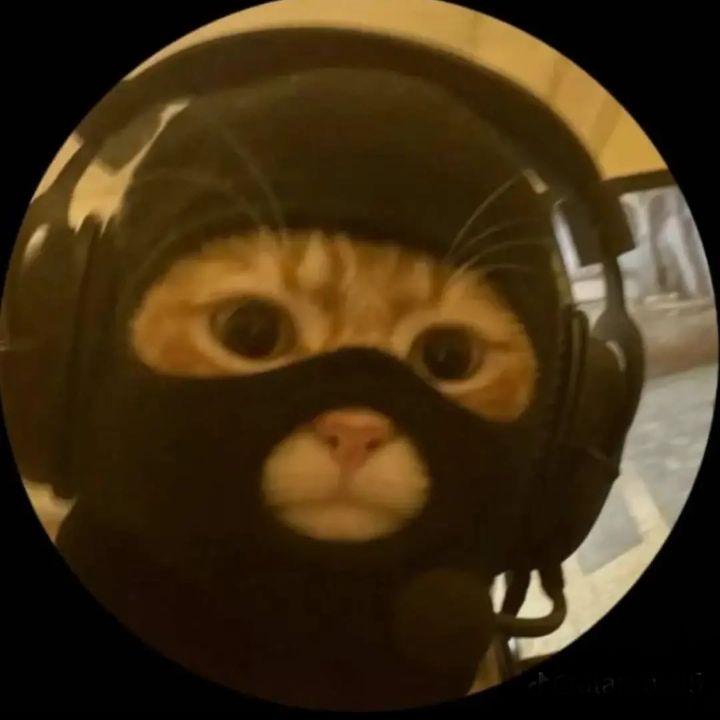 SoloGameR04 avatar