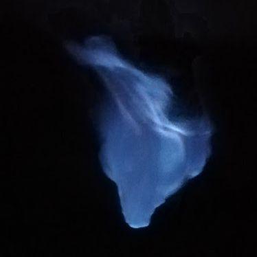 Howl_fI avatar