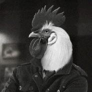 dotBirb avatar