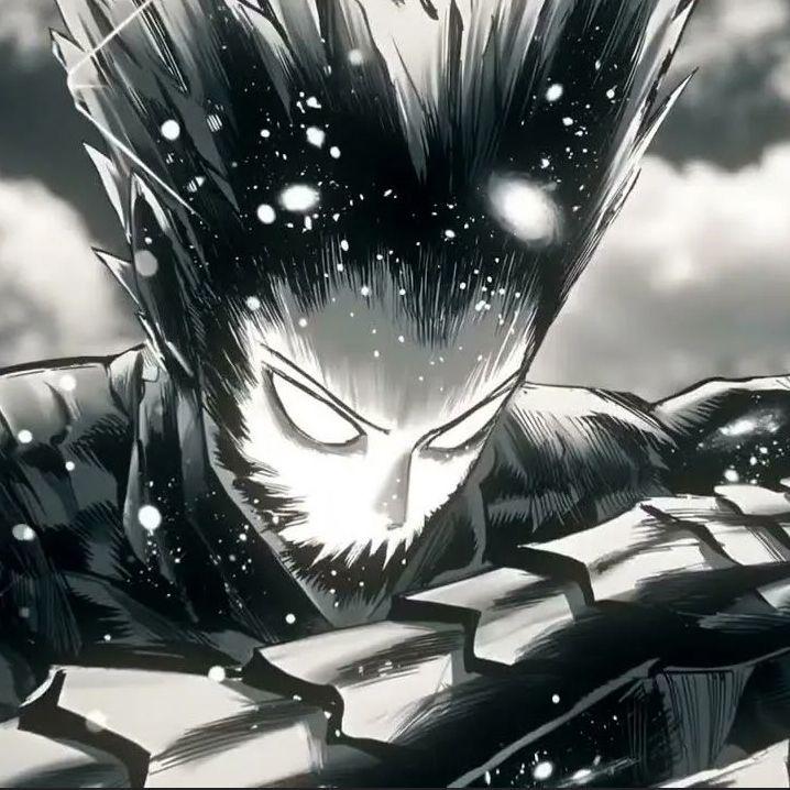 a1raks avatar