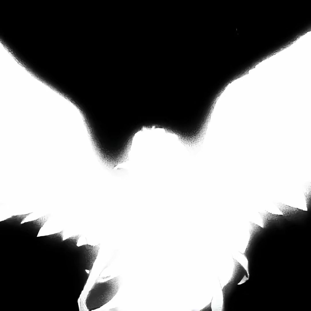 xrr_-