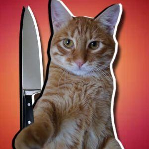 ilyaborov avatar