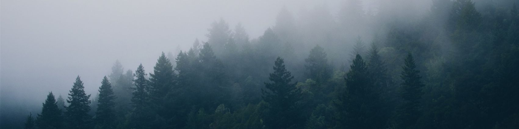 Faceit banner for @nevel