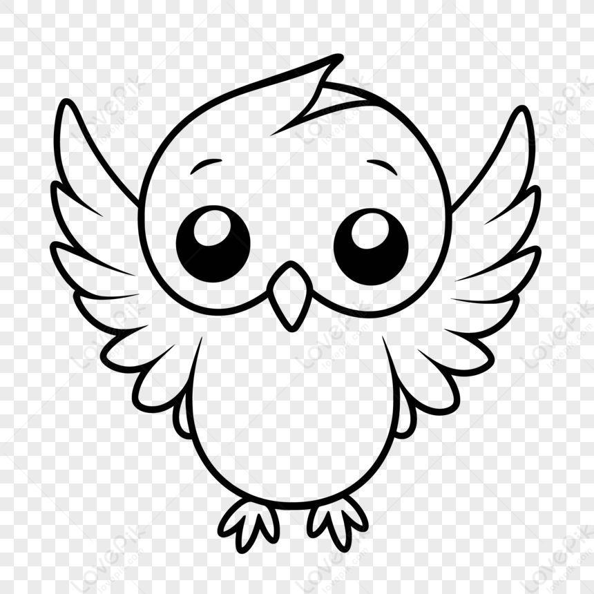 OWL36 avatar