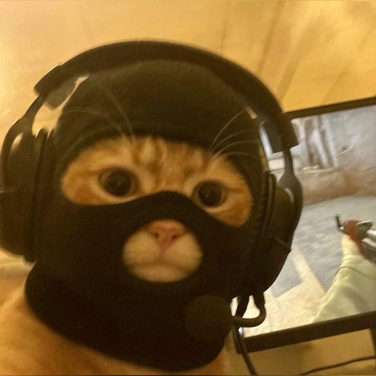 jyjaw avatar
