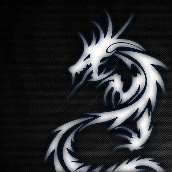 7BlackDragon avatar