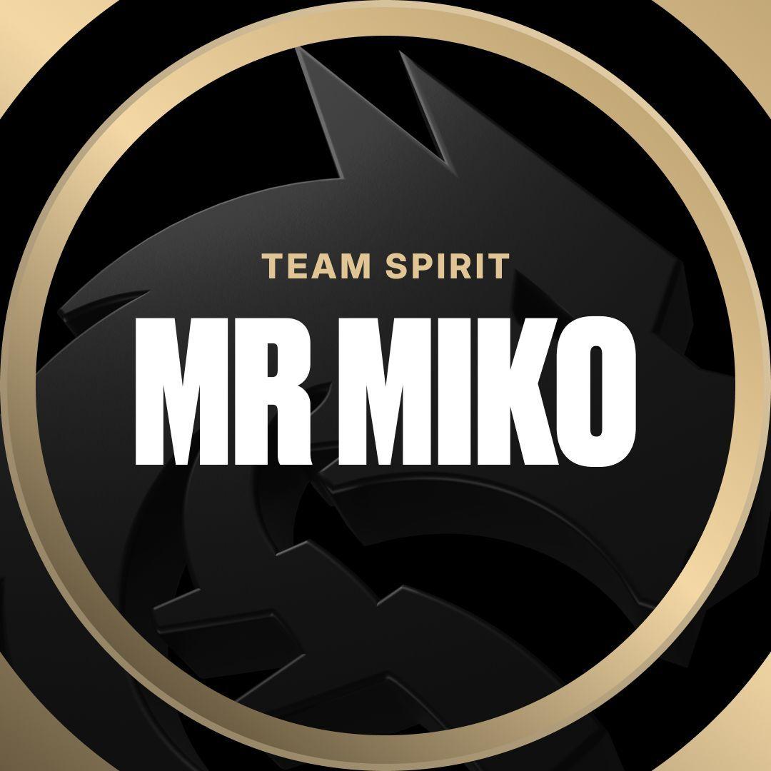 Player -Mr_Miko- avatar