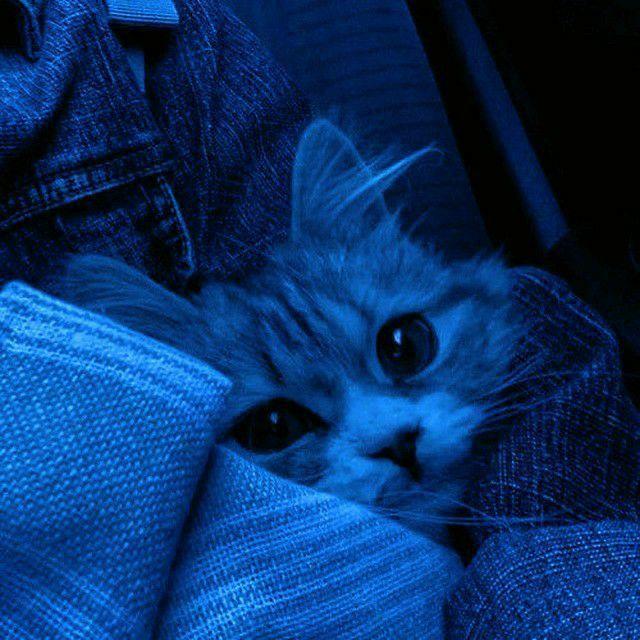 by_ARCTIC avatar