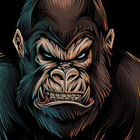 Gorilla2281 avatar