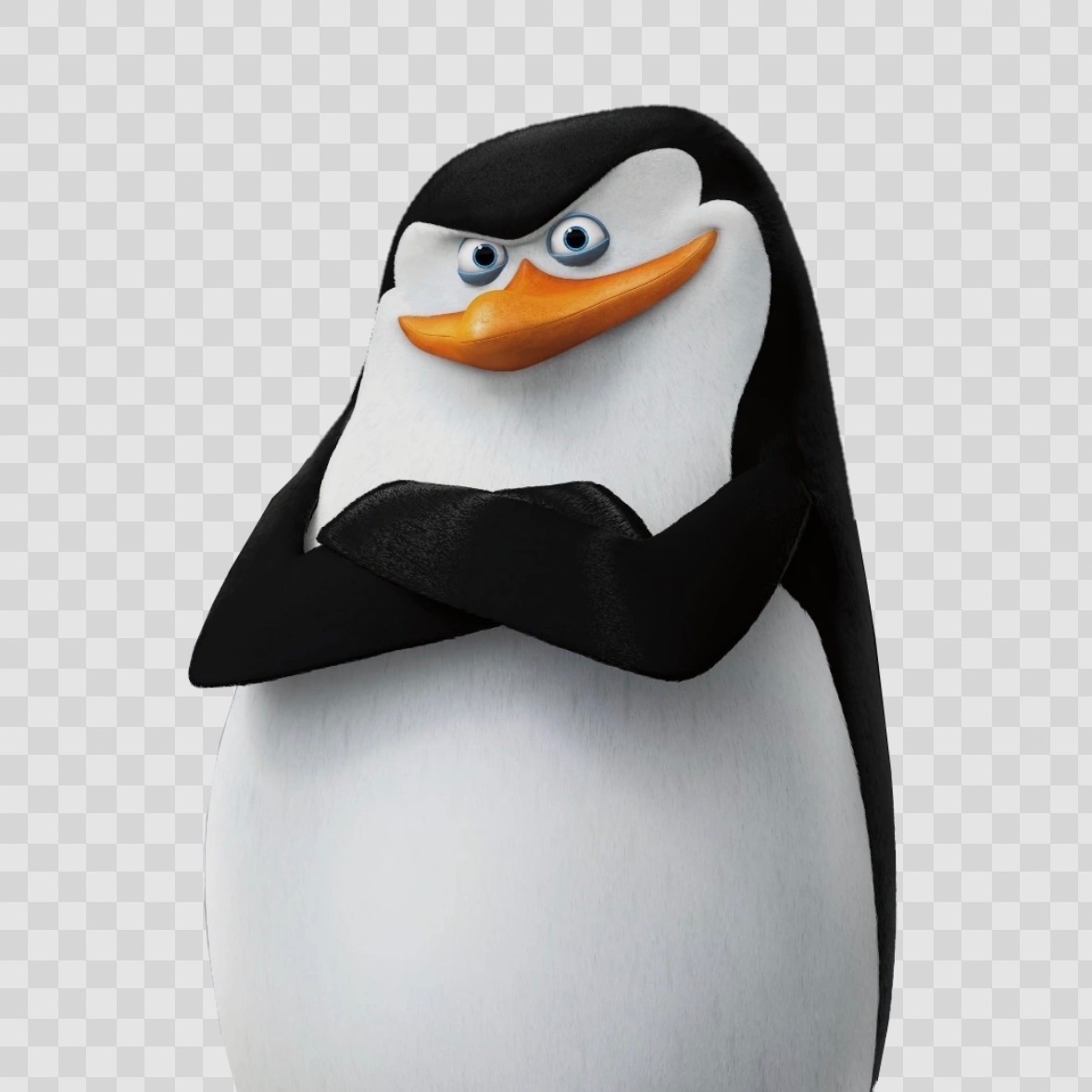 Sciperr
