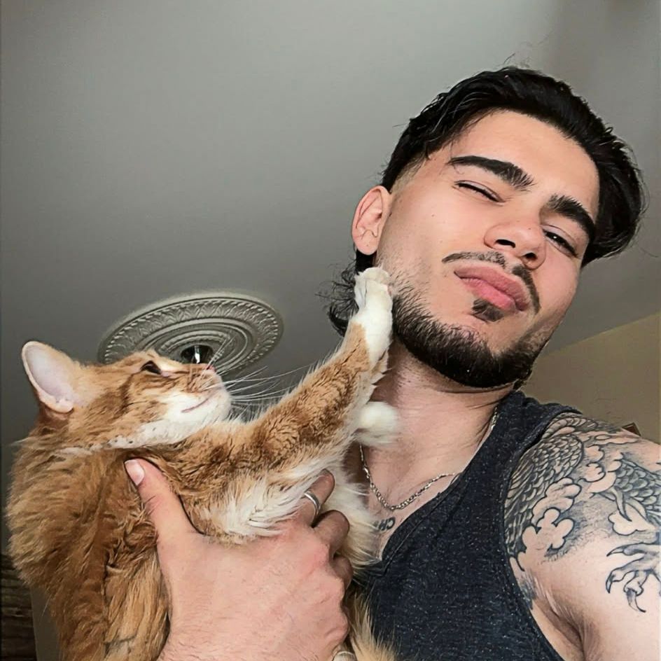 Meoow2k