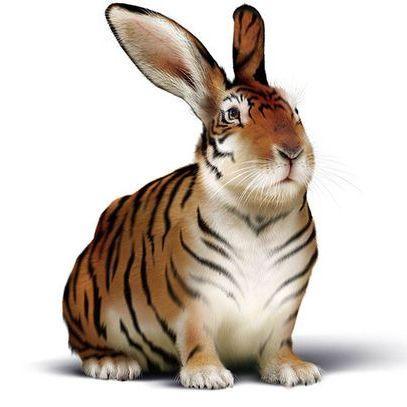 Rabbgod avatar