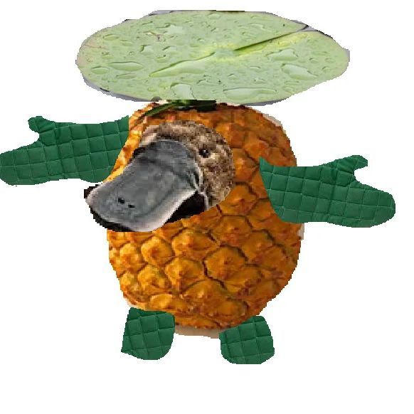 FlazeBlaster
