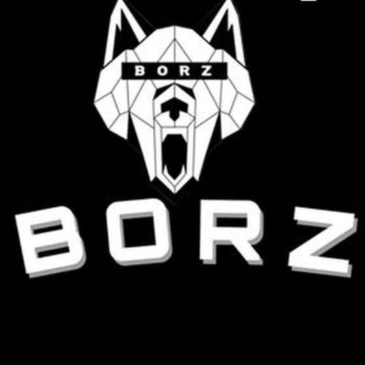 Borzqazaq666 avatar