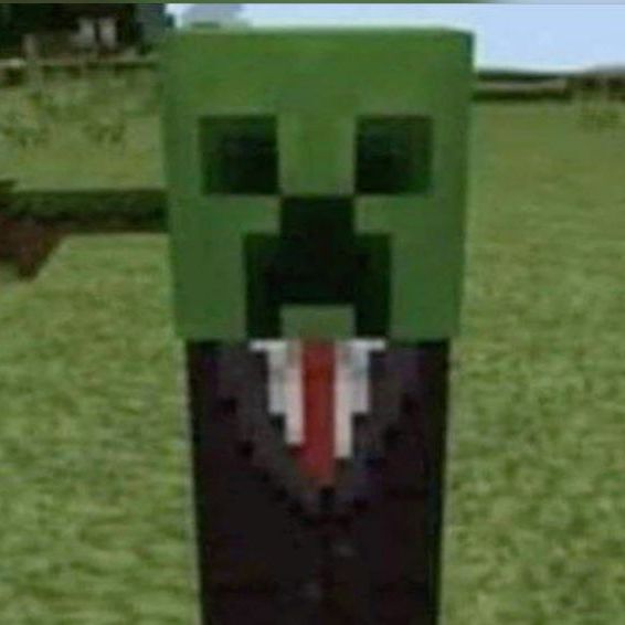 wel44rt